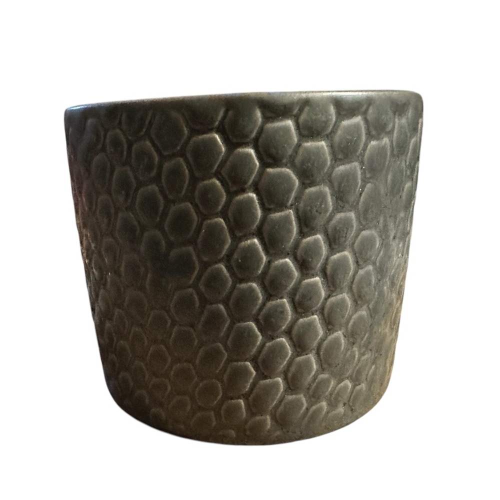New Anthropologie Hive and Wick Ceramic Candle: Oakmoss Leaf - Picture 4 of 9